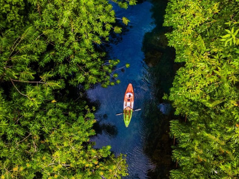krabi-kayak-adventure-through-ao-thalane-mangrove-forest