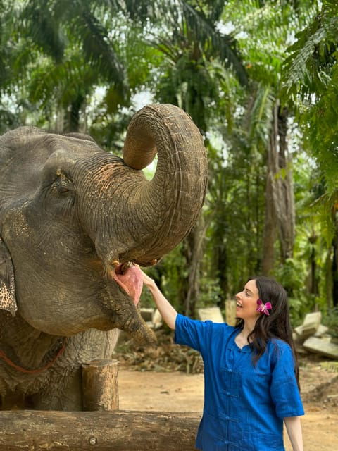 krabi-mangrove-kayak-elephant-shelter-with-private-transfer