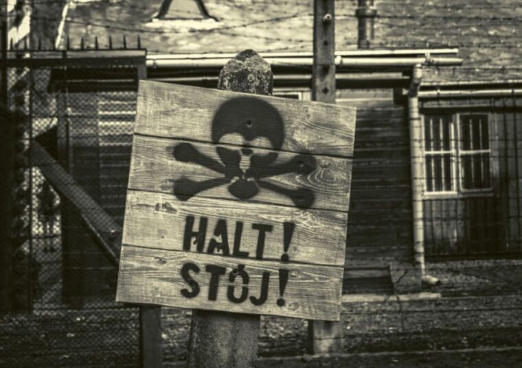 krakow-and-auschwitz-small-group-tour-from-warsaw-with-lunch-2