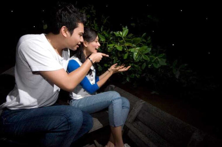 kuala-lumpur-kuala-selangor-firefly-tour-and-dinner