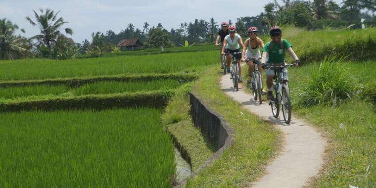 kuta-kintamani-culture-and-nature-guided-cycling-tour