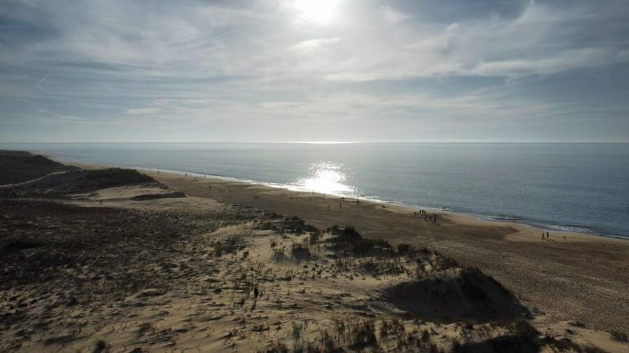 la-tremblade-hiking-in-the-domanial-forest-of-coubre