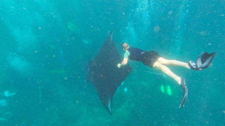 labuan-bajo-komodo-private-day-trip-with-snorkeling