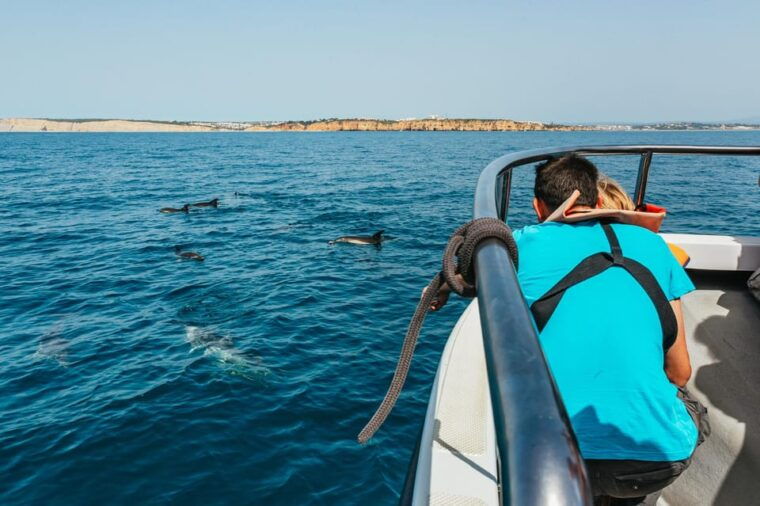 lagos-dolphin-watch-tour-with-professional-marine-biologist
