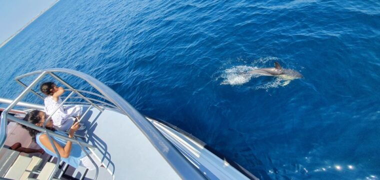lagos-dolphin-watching-catamaran-cruise