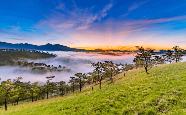 land-of-thousands-of-flowers-in-da-lat-3d2n