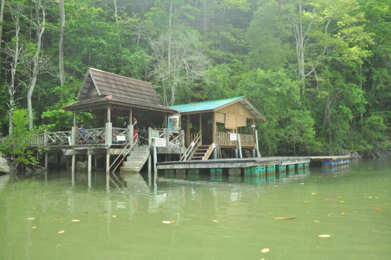 langkawi-6-hour-kilim-mangrove-boat-tour-w-lunch-pickup