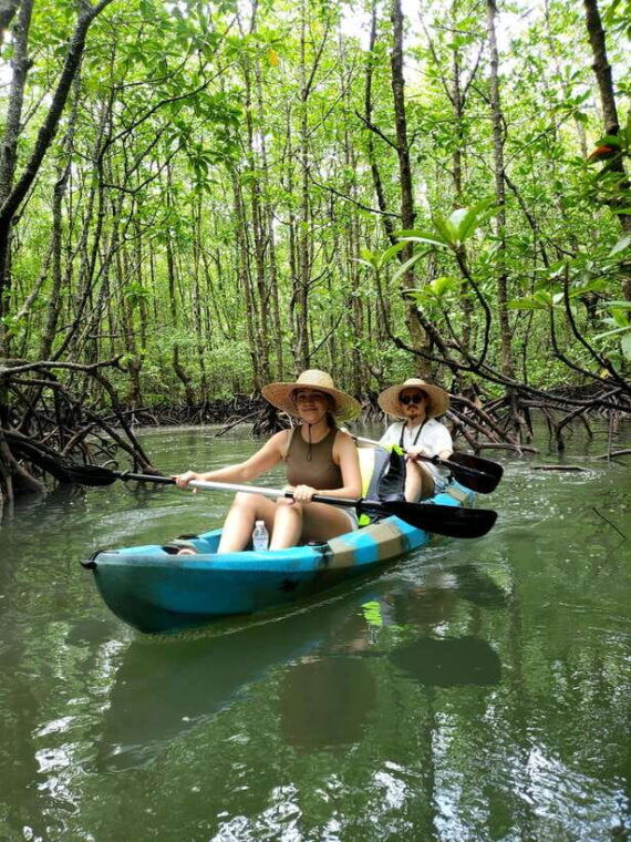 langkawi-kilim-geoforest-mangrove-kayak-tour-with-lunch