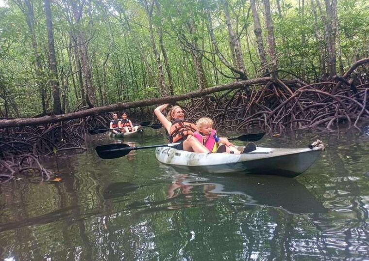 langkawi-kilim-river-mangrove-safari-kayaking-tour