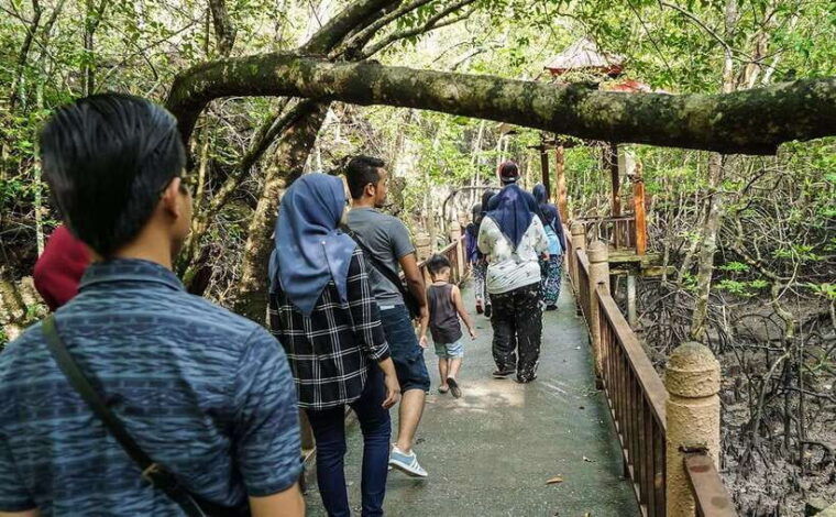 langkawi-mangrove-kilim-unesco-geopark-cave-tour