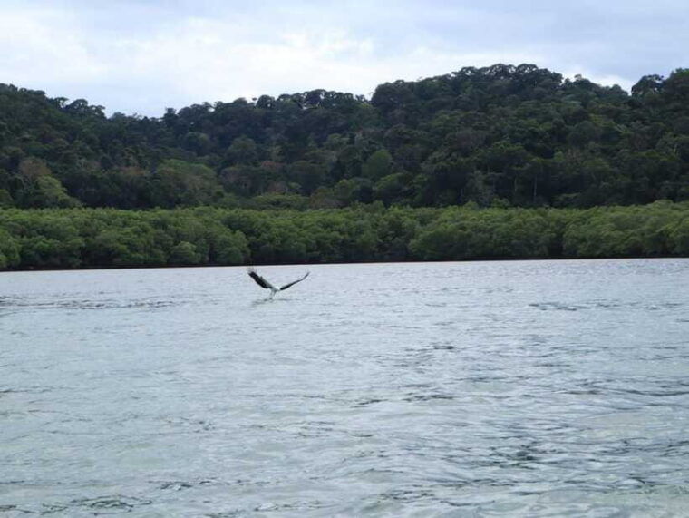 langkawi-southern-island-geopark-tour