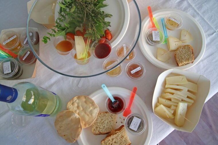 lazise-horse-carriage-tour-with-tasting-of-local-products