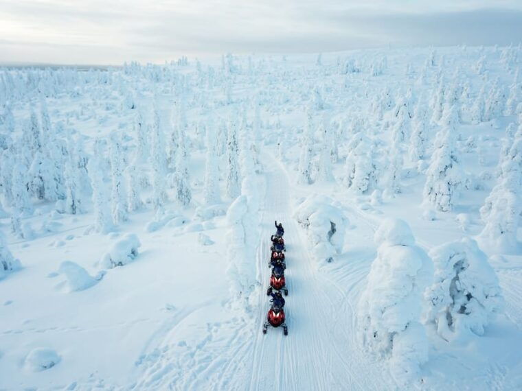 levi-forest-snowmobile-safari