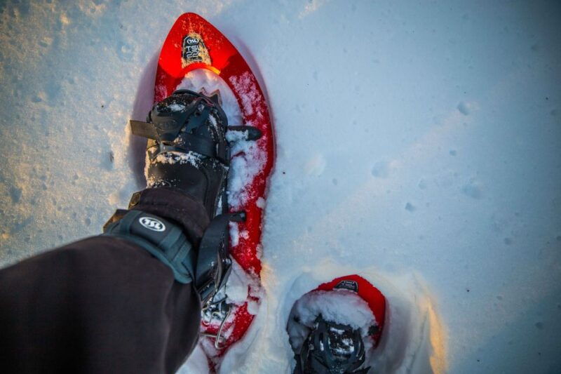 levi-snowshoe-adventure-in-the-wilderness