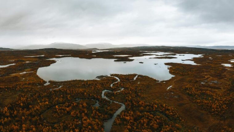 light-weighted-walk-through-wild-arctic-nature