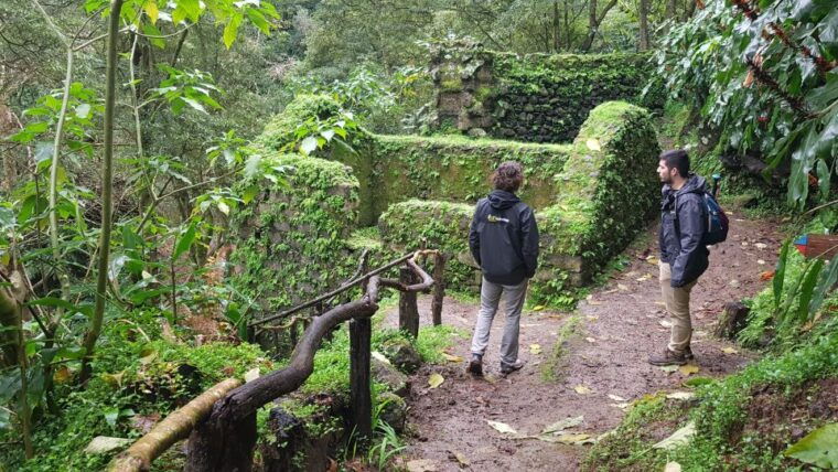 lomba-de-sao-pedro-waterfall-hiking-tour-with-tea-tasting