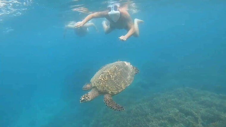 lombok-gili-nanggu-kedis-and-sudak-islands-boat-tour