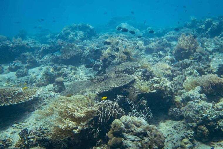 lombok-secret-gili-islands-snorkeling-tour