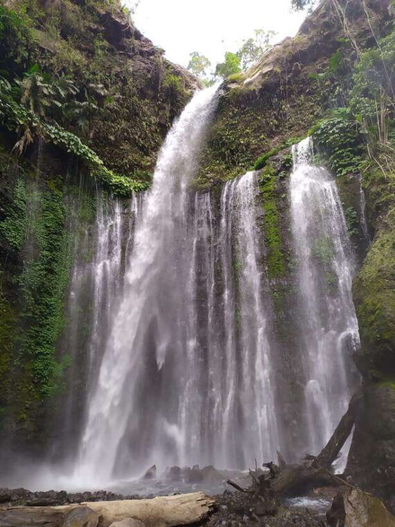 lombok-sendang-gila-and-tiu-kelep-waterfalls-tour