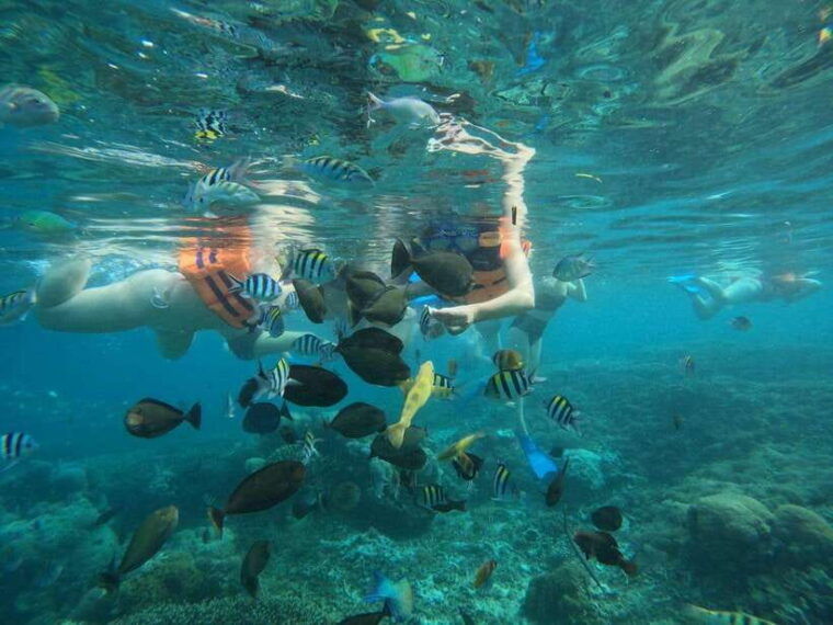 lombok-snorkeling-to-gili-nanggu-sudak-kedis-private