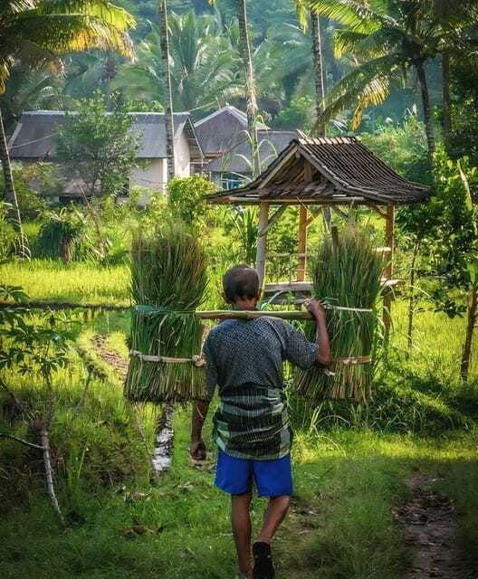 lombok-tandem-paragliding-with-pilot-waterfall-village