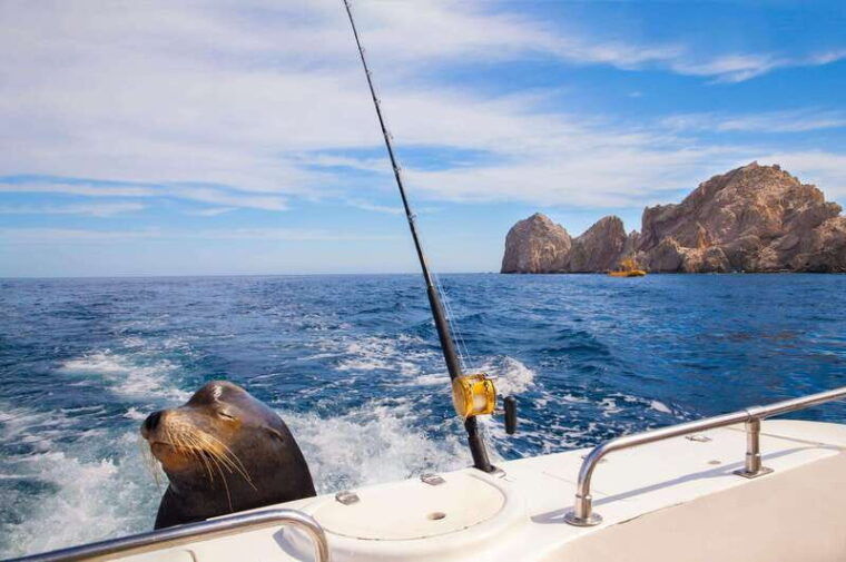 los-cabos-tour-of-rock-formations-and-beach-visits