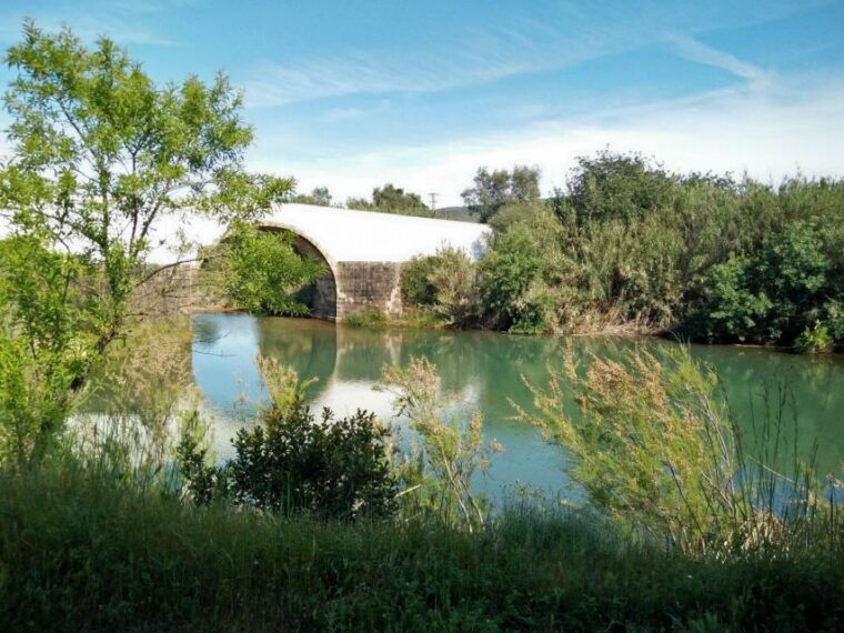 loule-quinta-da-tor-winery-guided-tour-and-wine-tasting