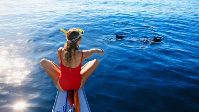 lovina-bali-sunrise-dolphin-watching-swim-and-snorkeling
