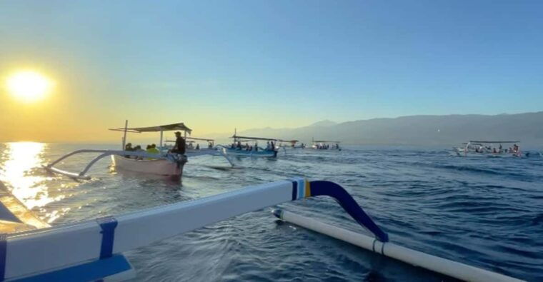 lovina-dolphin-watching-swimming-with-dolphin-private-tour