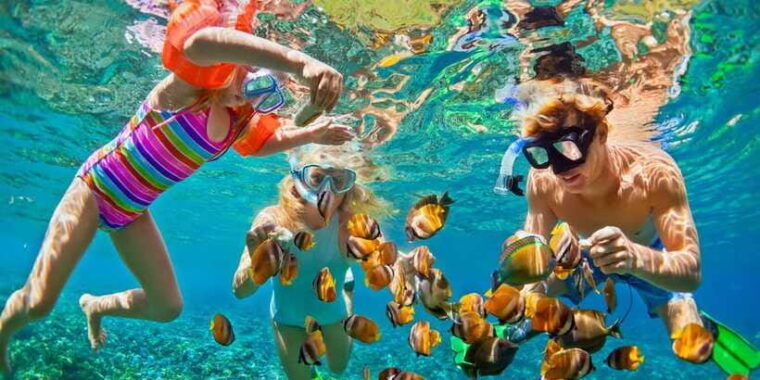 lovina-lovina-dolphin-tour-and-lovina-snorkeling-reef