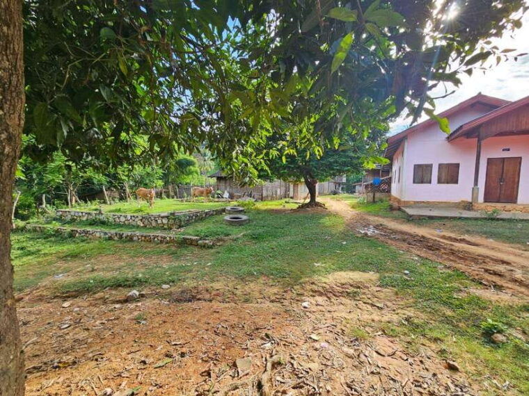 luang-prabang-authentic-lao-village-farm-experience-day