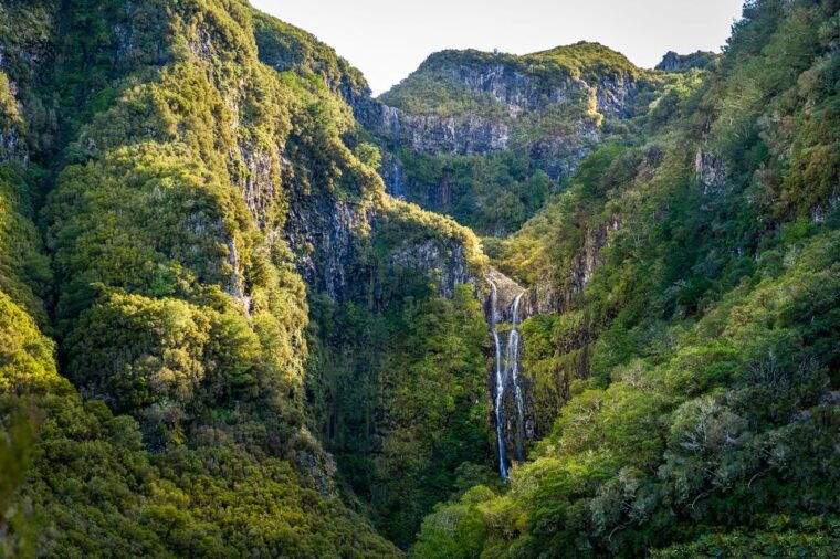 madeira-enjoy-a-guided-levada-walk-in-the-rabacal-valley