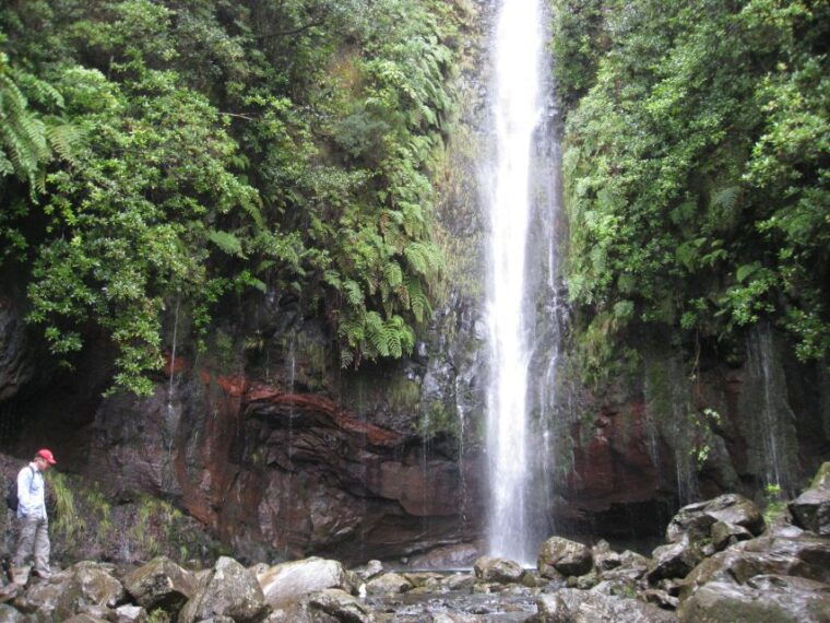 madeira-guided-full-day-rabacal-walk