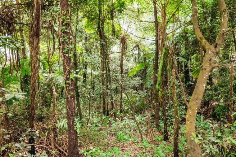madeira-half-day-pico-arieiro-jeep-tour