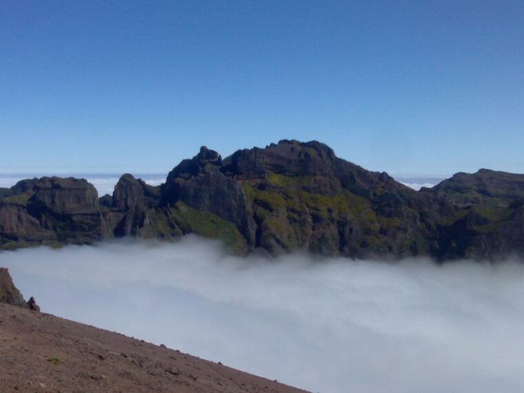 madeira-pico-do-arieiro-laurissilva-forest-east-tour