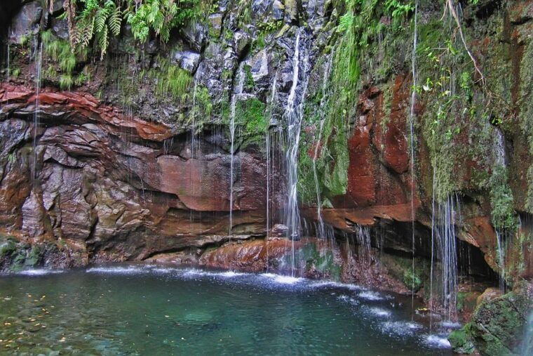 madeira-walks-rabacal-and-the-25-fountains