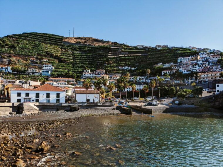 madeira-western-madeira-guided-trip-fanal-mystic-forest
