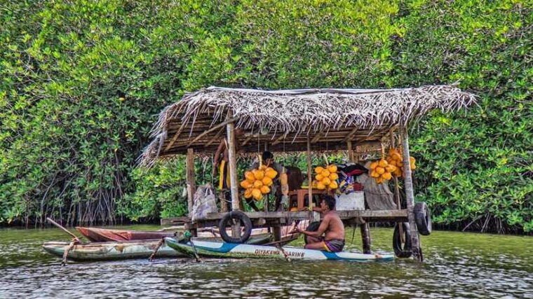 madu-river-boat-safari