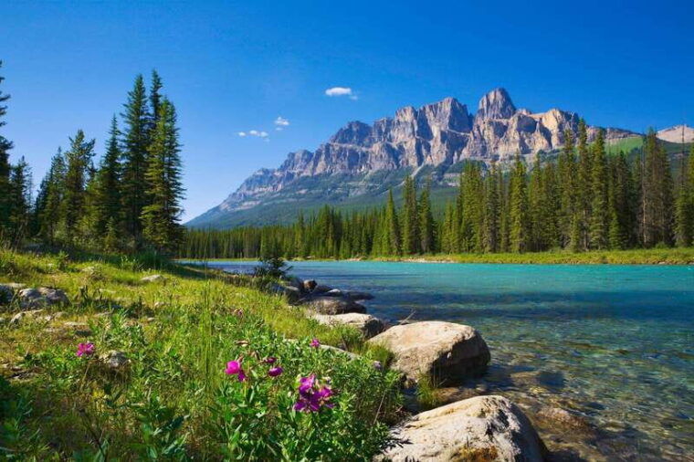 majestic-icefield-journey-day-excursion-from-calgary
