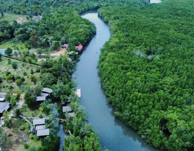 mangrove-day-tour-bintan