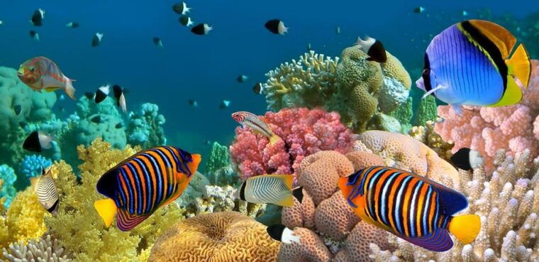 marmaris-scuba-diving-with-a-qualified-instructor