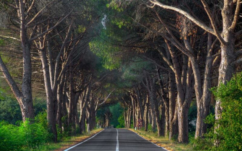 marmaris-yuvarlakcay-and-akyaka-trip-with-cruise-and-lunch