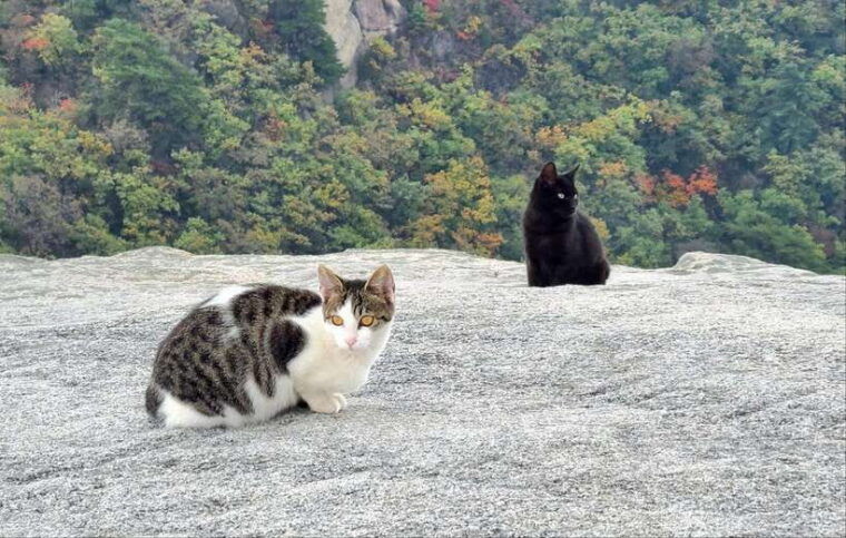 marvel-of-nature-hiking-in-bukhansan-mountain-national-park