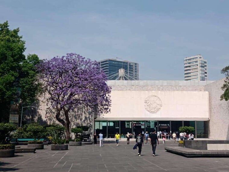 mexico-city-museum-of-anthropology-forest-and-pre-hispanic-food
