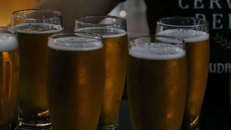 mexico-city-tasting-tour-and-craft-beer-experience