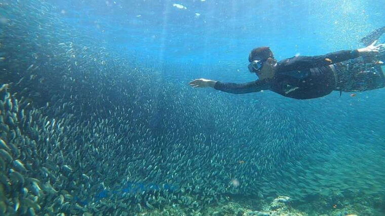 moalboal-island-hopping-and-mantayupan-falls-day-trip