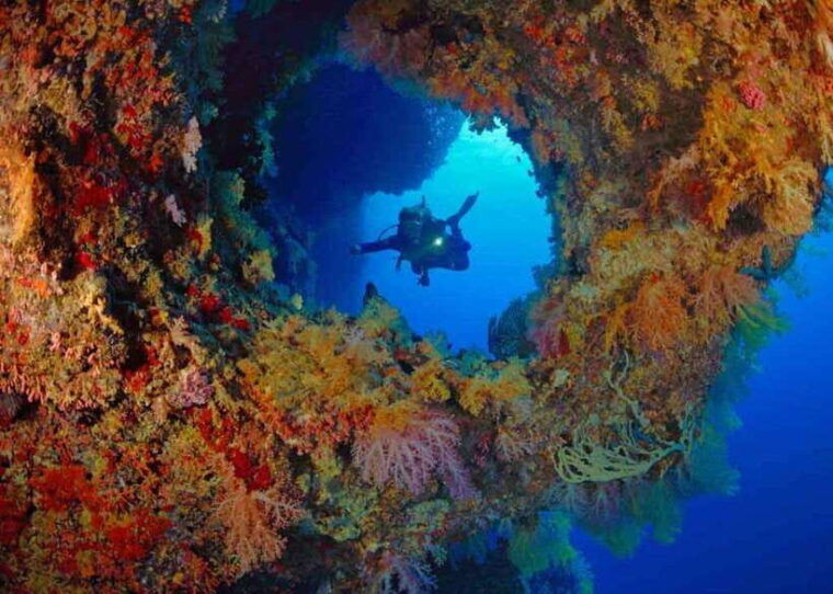 moalboal-scuba-diving-and-pescador-island-hopping