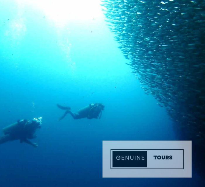 moalboal-scuba-diving-w-sardine-and-turtlesno-other-guest