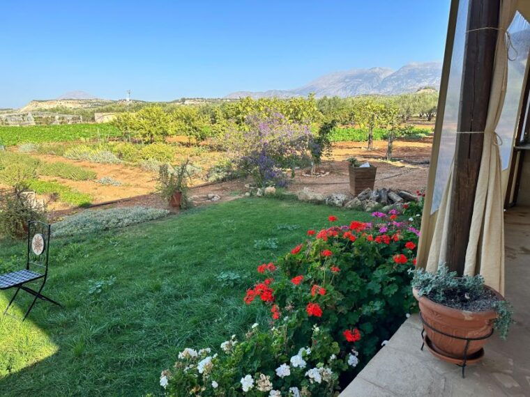moires-cooking-class-and-meal-at-a-family-olive-farm