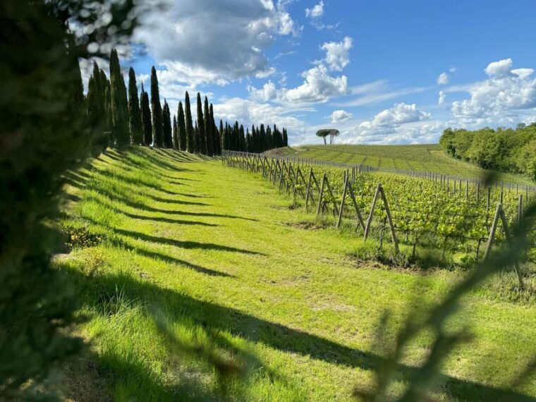 montalcinoprivat-e-bike-experience-discovering-orcia-valley